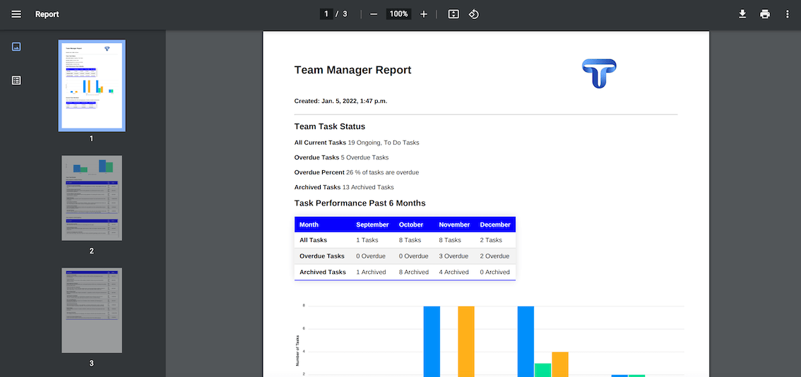 Manager Team Report